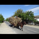Pferdefuhrwerke sind hier relativ häufig